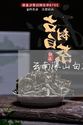 云南深山白茶价格表/2023071437306