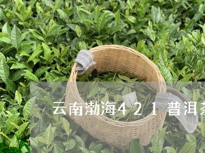 云南渤海421普洱茶/2023062874824