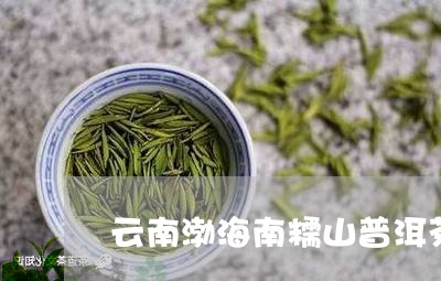 云南渤海南糯山普洱茶/2023061960582