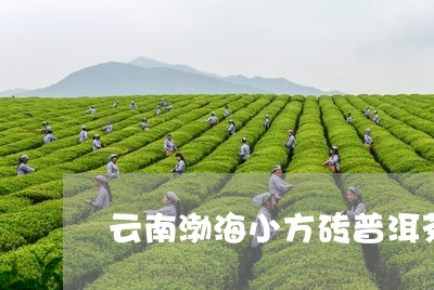 云南渤海小方砖普洱茶/2023080233837