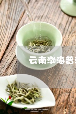 云南渤海普洱茶生茶/2023070991681