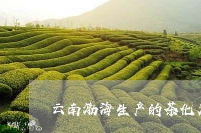 云南渤海生产的茶化石/2023071673615