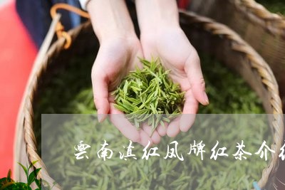 云南滇红凤牌红茶介绍/2023092537595