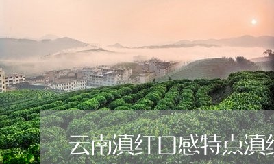 云南滇红口感特点滇红的滋味/2023052793835