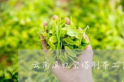 云南滇红宝塔制茶工艺/2023092547151