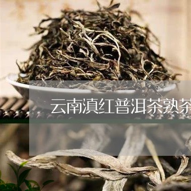 云南滇红普洱茶熟茶/2023091470716