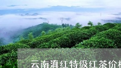 云南滇红特级红茶价格/2023061407059