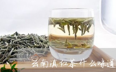 云南滇红茶什么味道/2023042918491