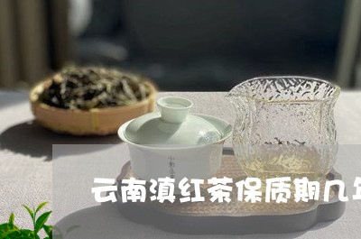 云南滇红茶保质期几年/2023061384060