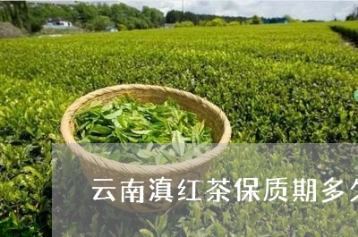 云南滇红茶保质期多久/2023061361503