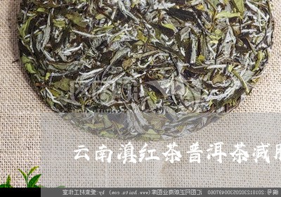 云南滇红茶普洱茶减肥/2023080166359