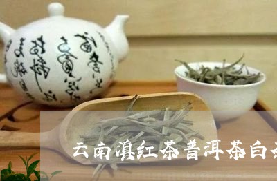 云南滇红茶普洱茶白茶/2023120653158