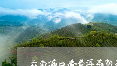 云南满口香普洱茶熟茶/2023080382737