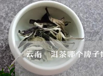 云南潽洱茶哪个牌子好/2023071664738