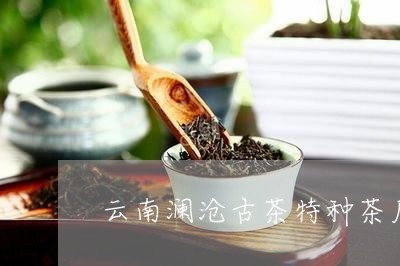 云南澜沧古茶特种茶厂/2023061066041