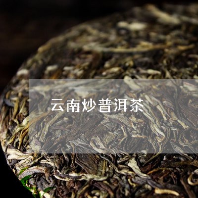 云南炒普洱茶/2023042678892