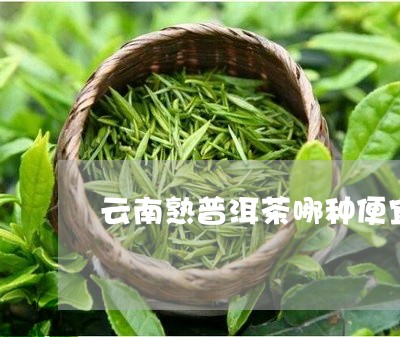 云南熟普洱茶哪种便宜/2023080231704