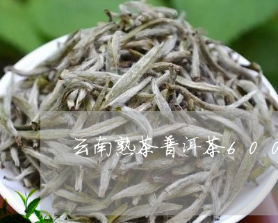 云南熟茶普洱茶6000克/2023112543258