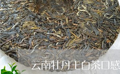 云南牡丹王白茶口感/2023121682605