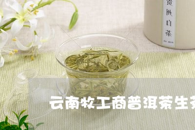 云南牧工商普洱茶生茶/2023100793936