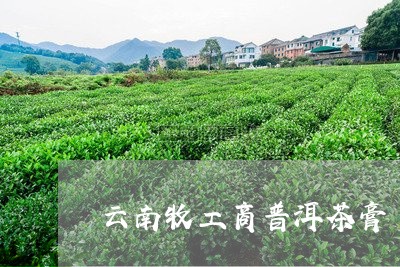 云南牧工商普洱茶膏/2023100894249