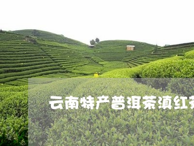 云南特产普洱茶滇红茶批发/2023112812848