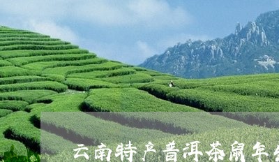 云南特产普洱茶鼠年生茶/2023081486039