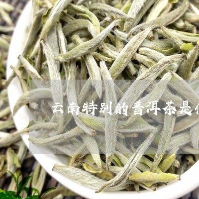 云南特别的普洱茶是什么茶/2023112476139