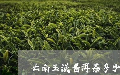 云南玉溪普洱茶多少钱一斤/2023051004271