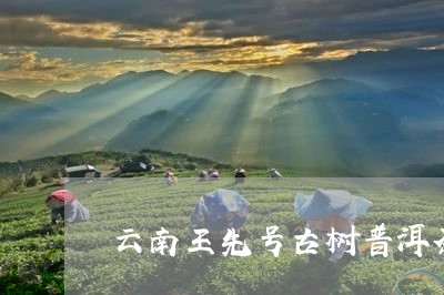 云南王先号古树普洱茶/2023072218483