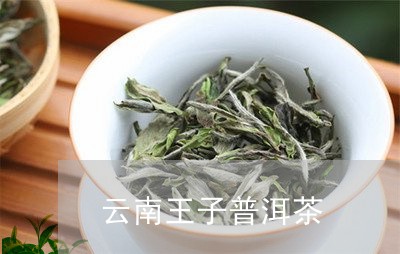 云南王子普洱茶/2023102680894