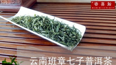 云南班章七子普洱茶/2023091524958