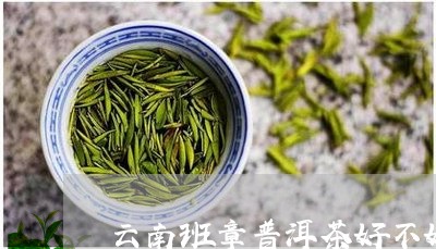 云南班章普洱茶好不好/2023072449261