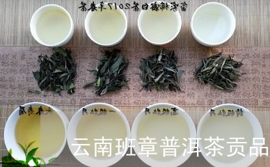 云南班章普洱茶贡品熟普/2023102487271