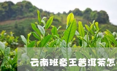 云南班章王普洱茶怎么样/2023110425937