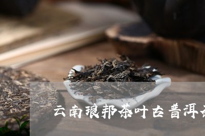 云南琅邦茶叶古普洱茶/2023092956171