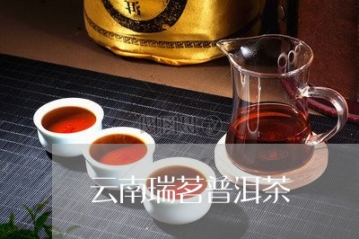 云南瑞茗普洱茶/2023102656150