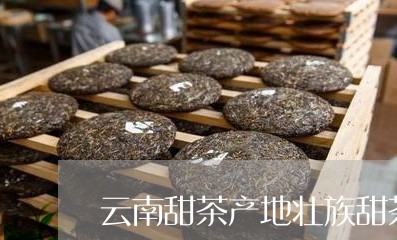 云南甜茶产地壮族甜茶图片/2023051230503