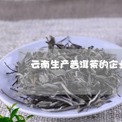 云南生产普洱茶的企业/2023080295039