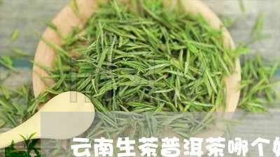 云南生茶普洱茶哪个好/2023100774827