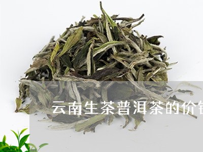 云南生茶普洱茶的价钱/2023080346147