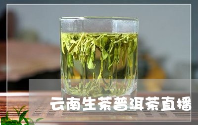 云南生茶普洱茶直播/2023070912815