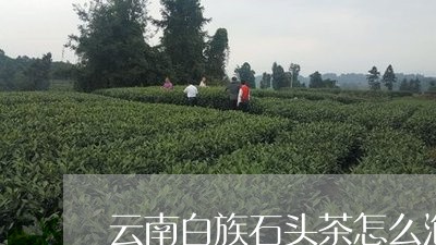 云南白族石头茶怎么泡/2023061096150