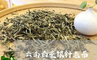 云南白毫银针老茶/2023061406159