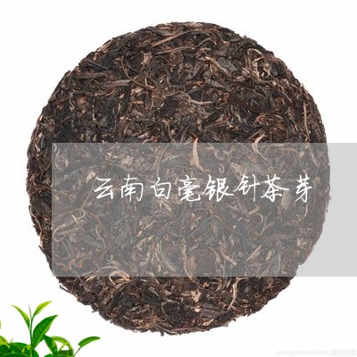 云南白毫银针茶芽/2023061493768