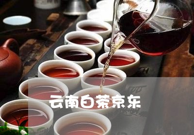 云南白茶京东/2023051347271