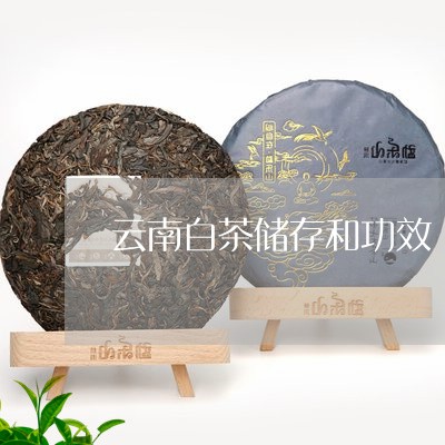云南白茶储存和功效/2023121679492
