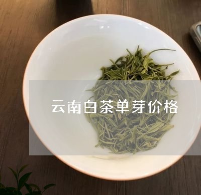 云南白茶单芽价格/2023061409725