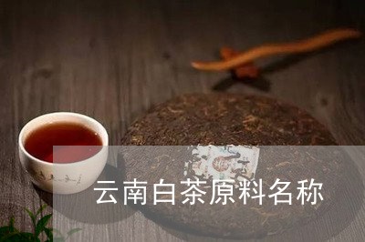 云南白茶原料名称/2023061478491