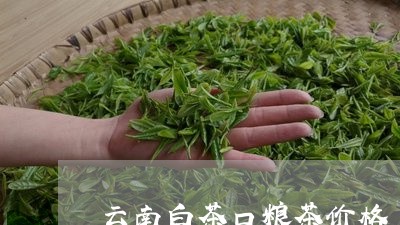 云南白茶口粮茶价格/2023071432735